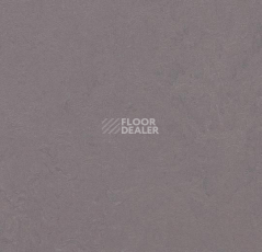 Линолеум Forbo Marmoleum Decibel on Order 373035 stella фото 1 | FLOORDEALER
